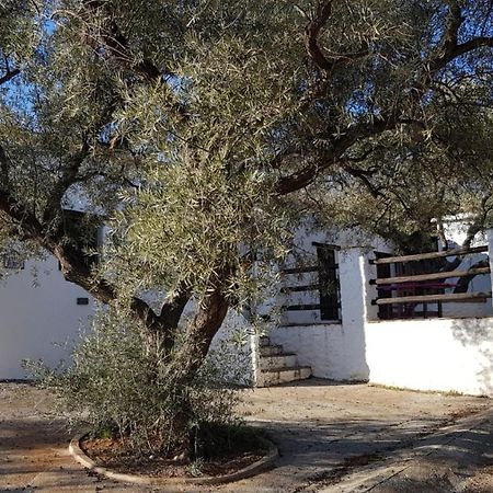 Gateway To The Alpujarras, 'Cortijo Derry' Hotel Orgiva Kültér fotó