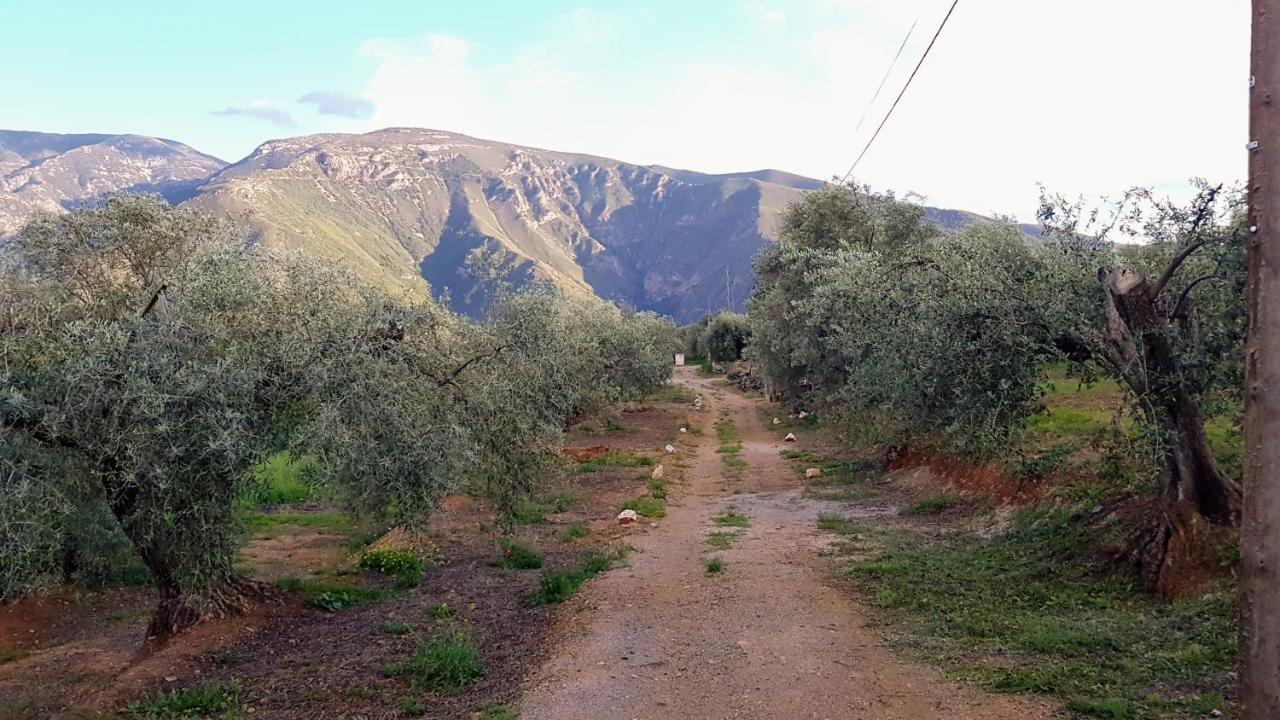 Gateway To The Alpujarras, 'Cortijo Derry' Hotel Orgiva Kültér fotó