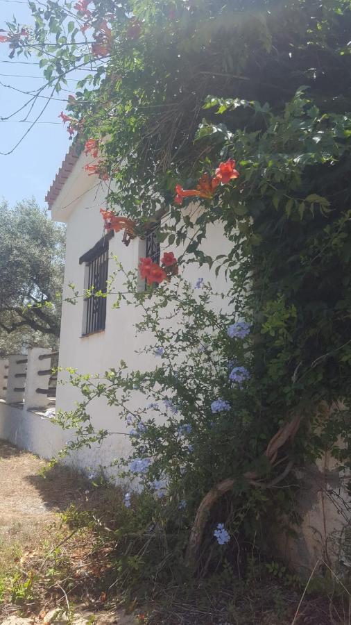 Gateway To The Alpujarras, 'Cortijo Derry' Hotel Orgiva Kültér fotó