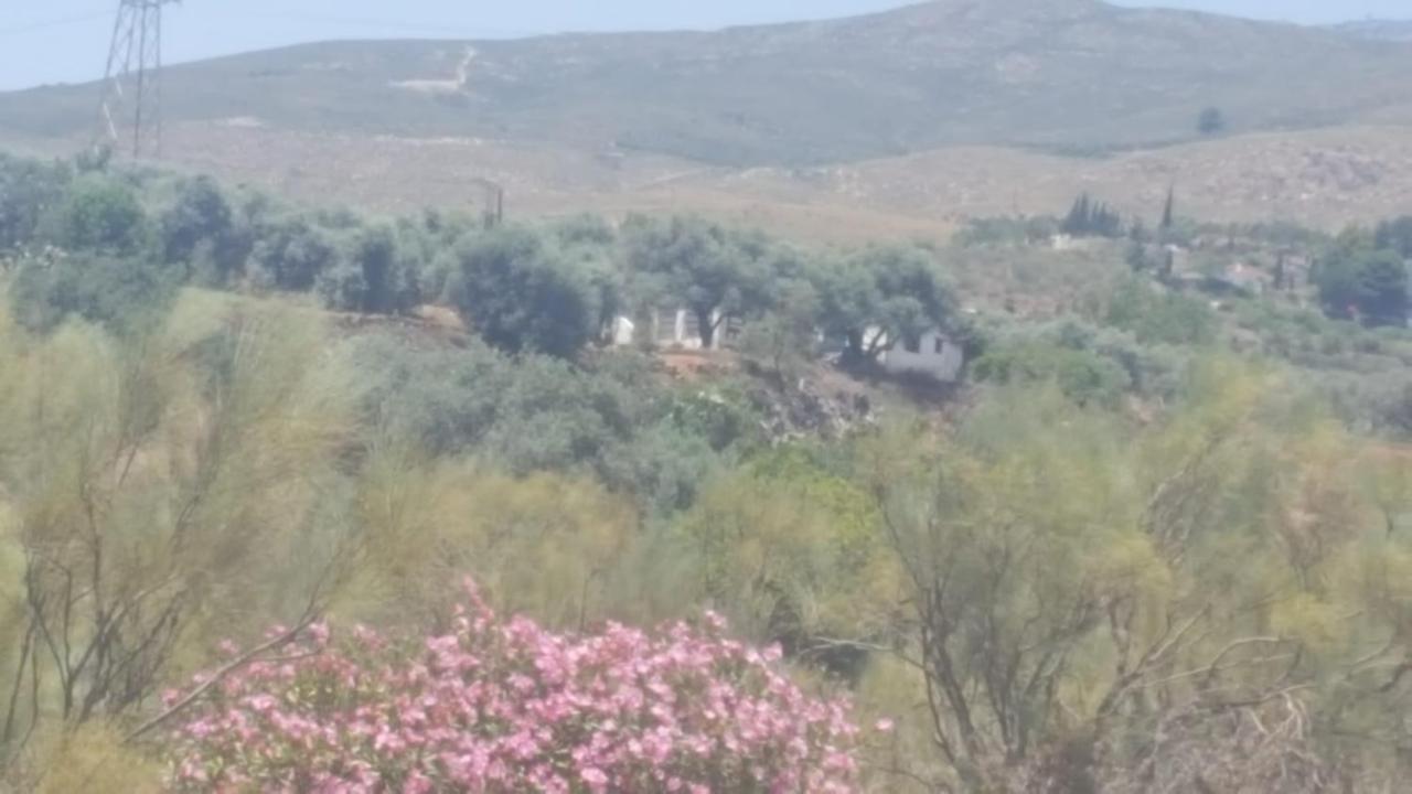 Gateway To The Alpujarras, 'Cortijo Derry' Hotel Orgiva Kültér fotó
