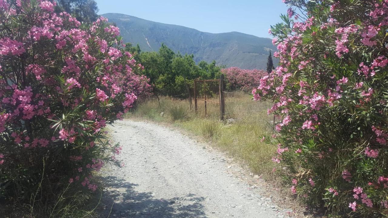Gateway To The Alpujarras, 'Cortijo Derry' Hotel Orgiva Kültér fotó